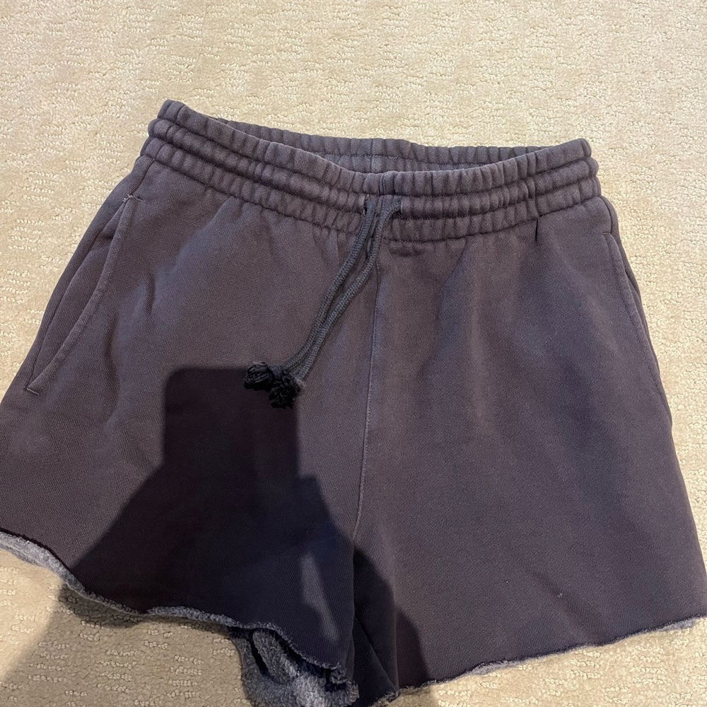 Aritzia Women's Casual Gray Shorts